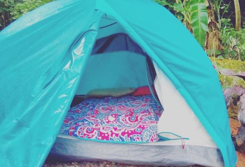 Общежитие Camping Trópico De Capricórnio   Ilhabela