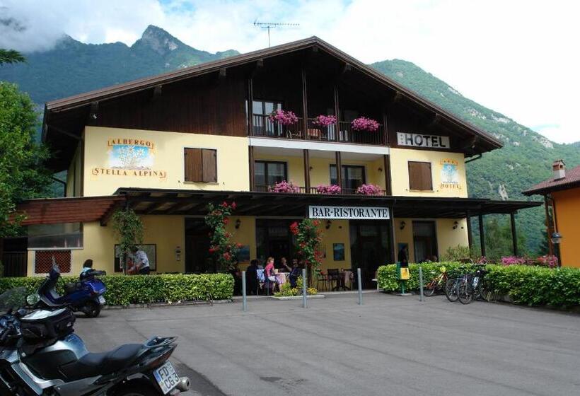 فندق Albergo Stella Alpina
