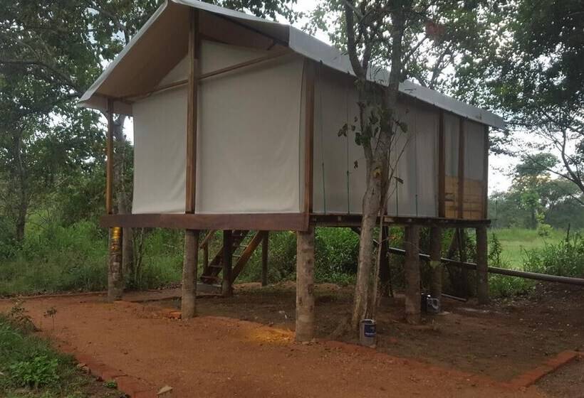 Отель Asharo Sigiriya Villa