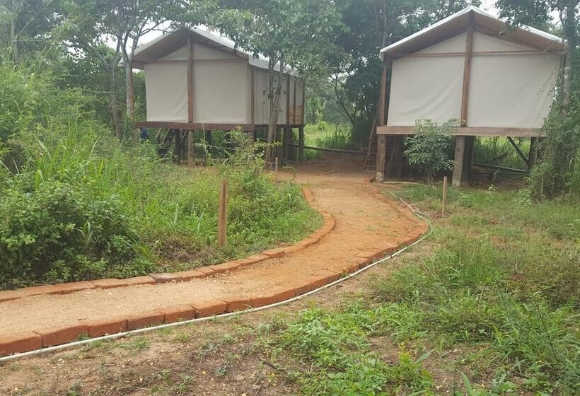 Отель Asharo Sigiriya Villa