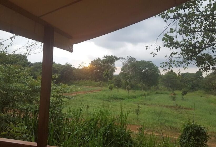 Отель Asharo Sigiriya Villa