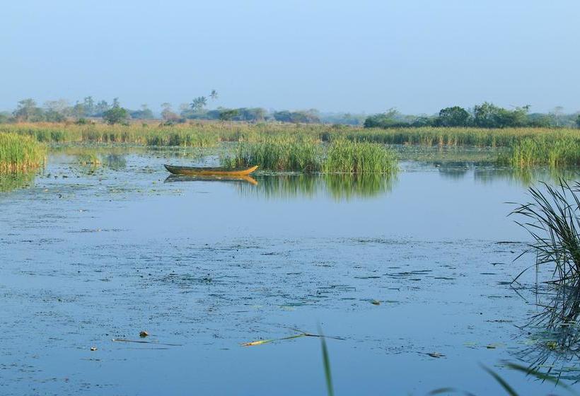 Отель Bundala Flamingo Cotteges
