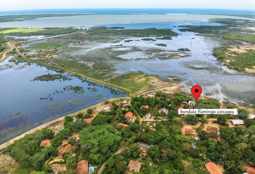 Отель Bundala Flamingo Cotteges
