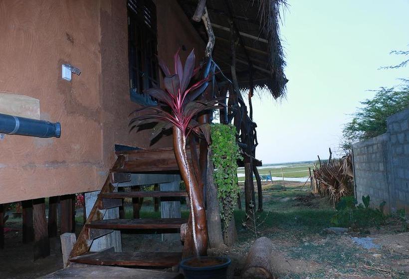 Отель Bundala Flamingo Cotteges