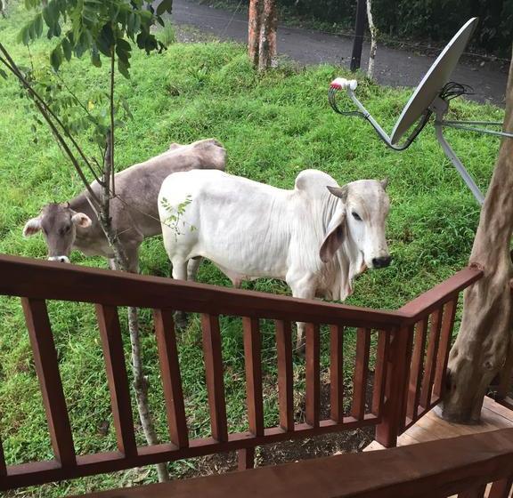 فندق Casa Torre Eco- Lodge