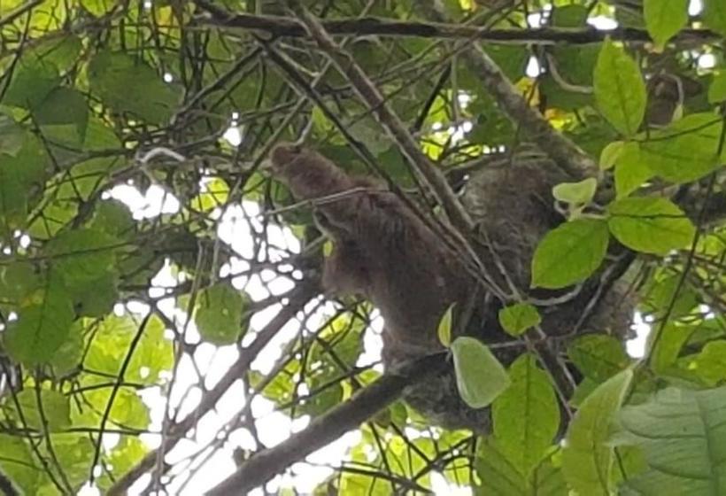 فندق Casa Torre Eco- Lodge