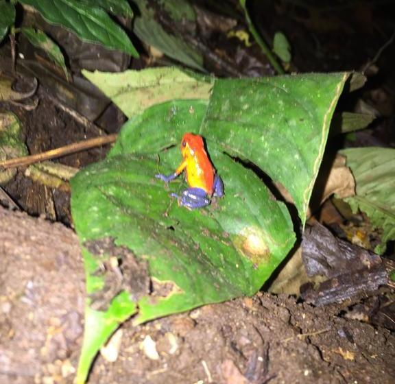 فندق Casa Torre Eco- Lodge