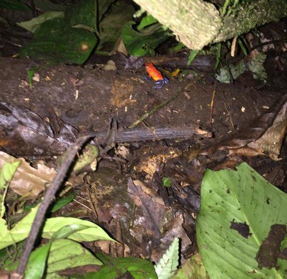 فندق Casa Torre Eco- Lodge