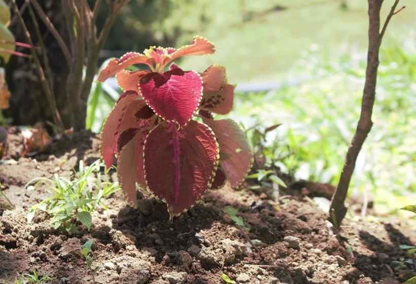 فندق Casa Torre Eco- Lodge