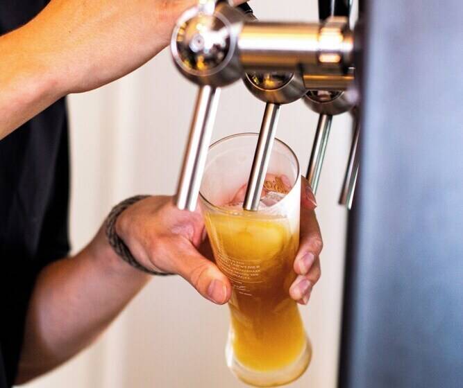 בית מלון כפרי De Koppelpaarden