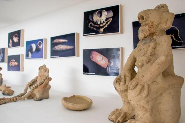 בית מלון כפרי Iraka Zenu