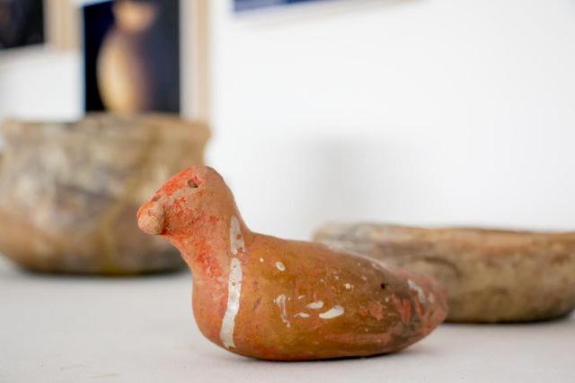 בית מלון כפרי Iraka Zenu