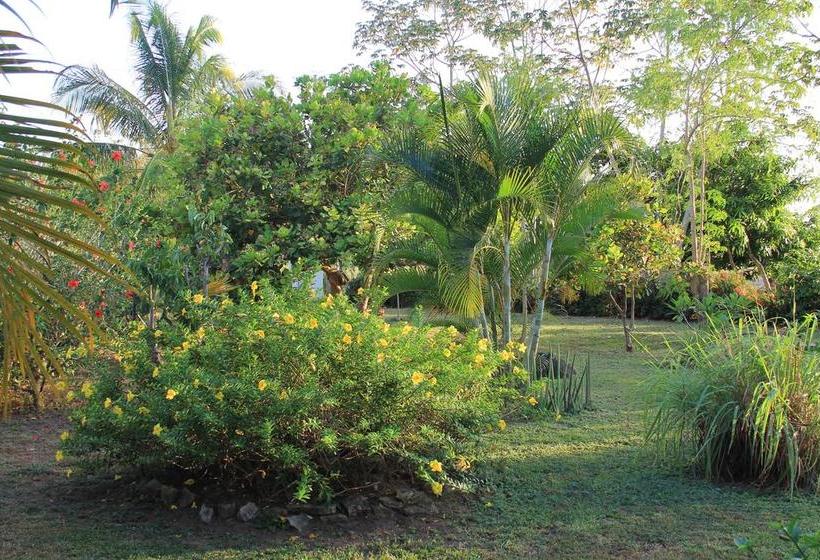 Отель Cabañas La Casa De Pucha