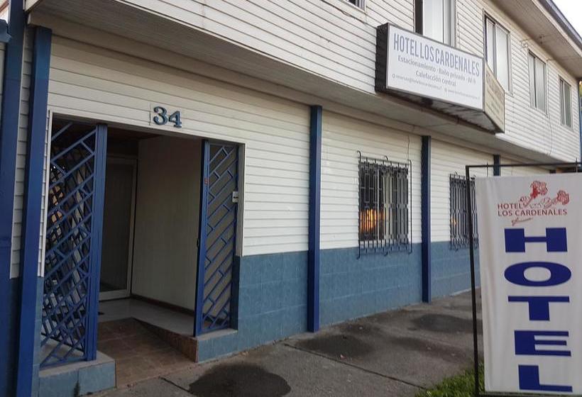 فندق Los Cardenales