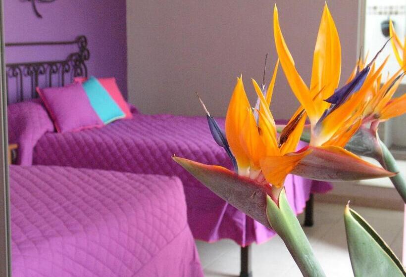 فندق Posada Santo Niño