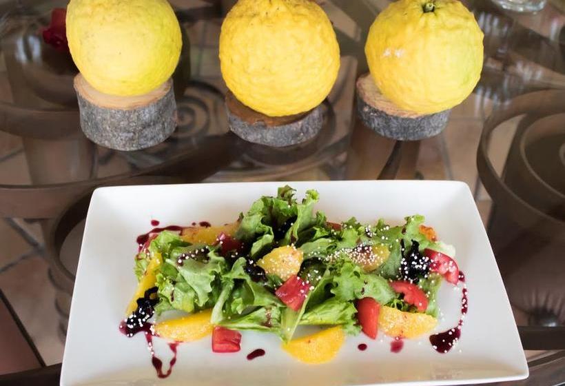 호텔 Quinta Moctezuma