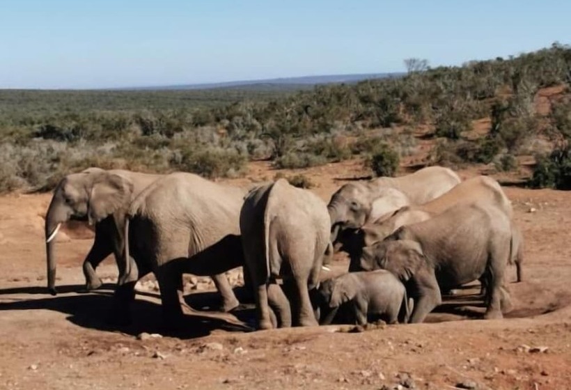 בית מלון כפרי Sun1 Port Elizabeth