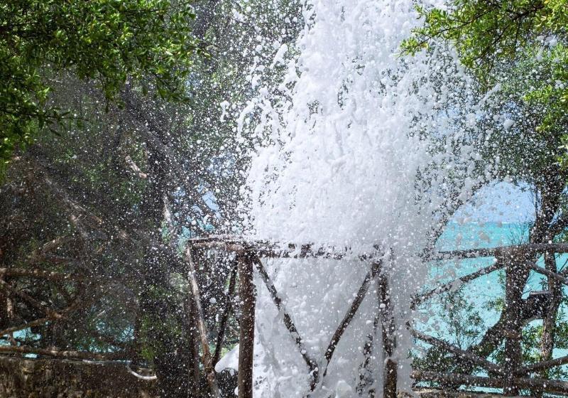 هتل The Island   Pongwe Lodge