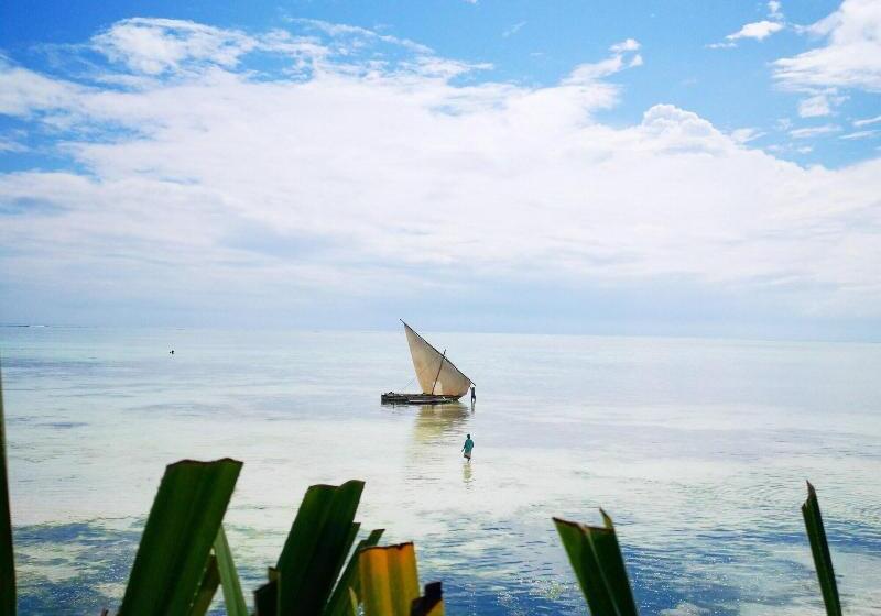 هتل The Island   Pongwe Lodge