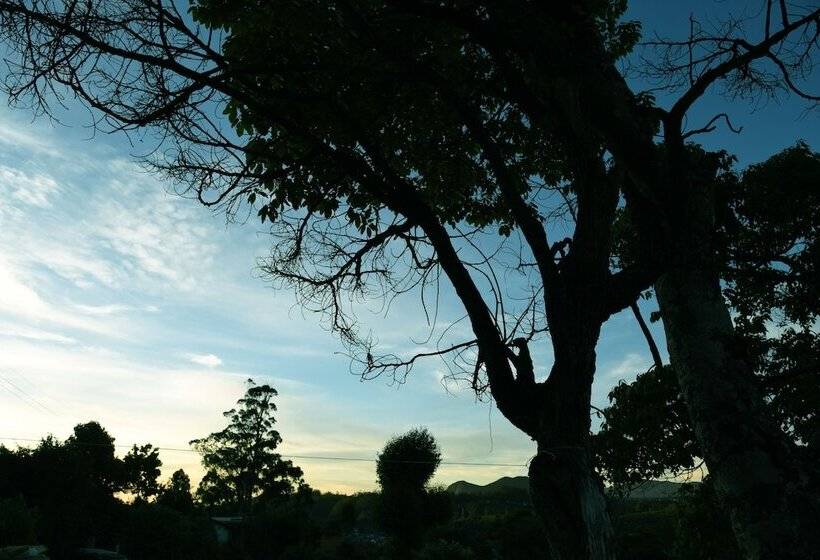 בית מלון כפרי Top Venice