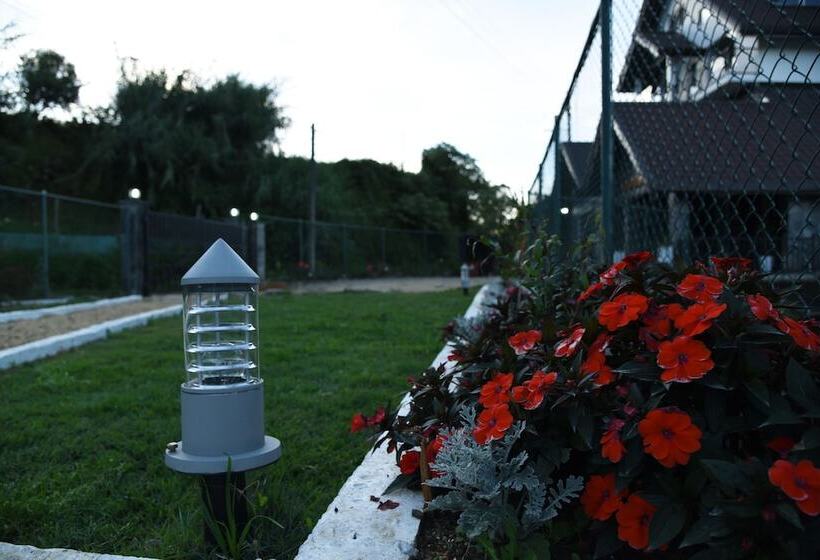 בית מלון כפרי Top Venice