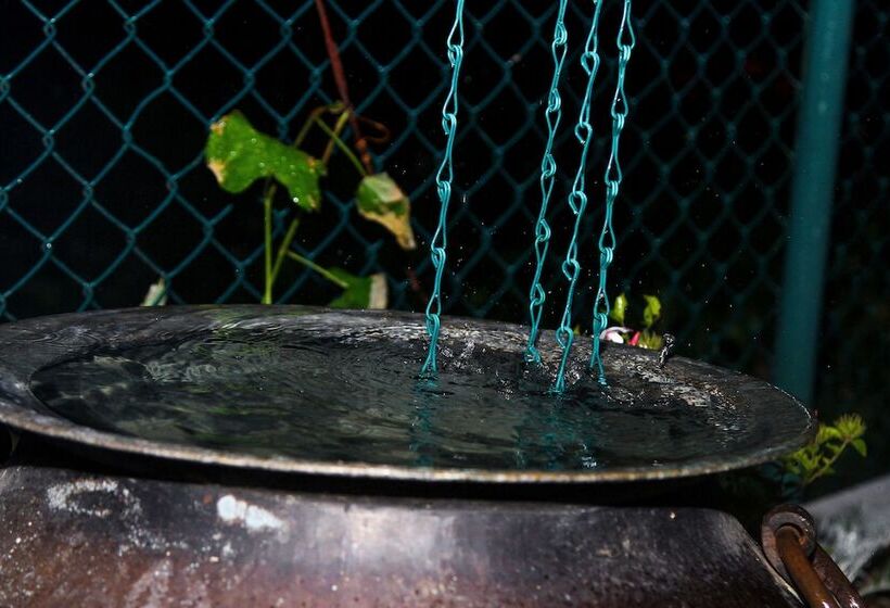 בית מלון כפרי Top Venice