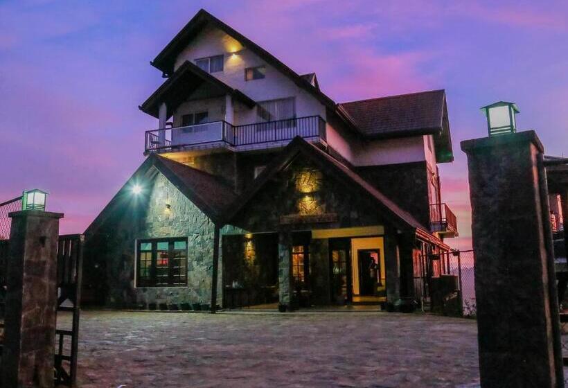 בית מלון כפרי Top Venice