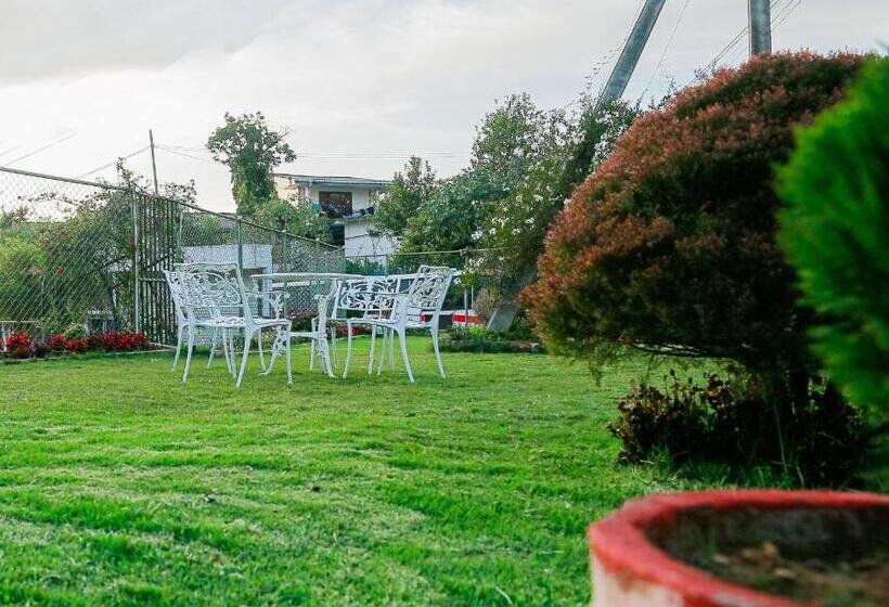 בית מלון כפרי Top Venice