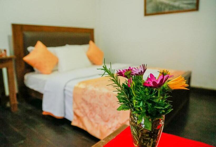 בית מלון כפרי Top Venice