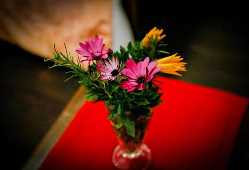 בית מלון כפרי Top Venice