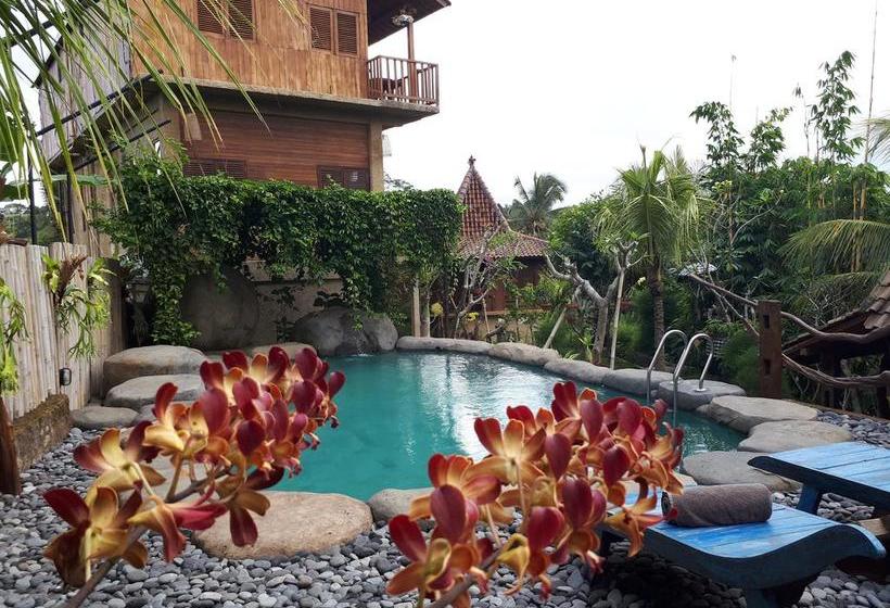 בית מלון כפרי Umah Hoshi