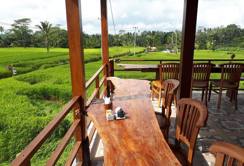 בית מלון כפרי Umah Hoshi