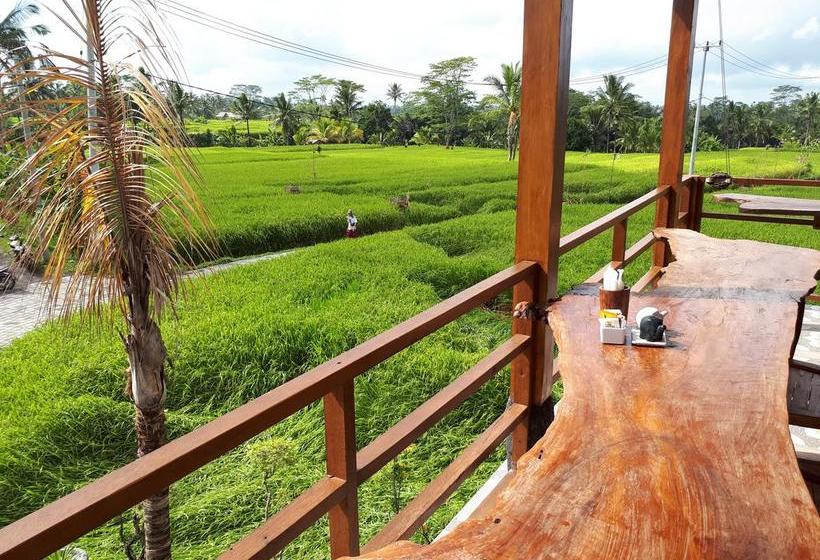 בית מלון כפרי Umah Hoshi