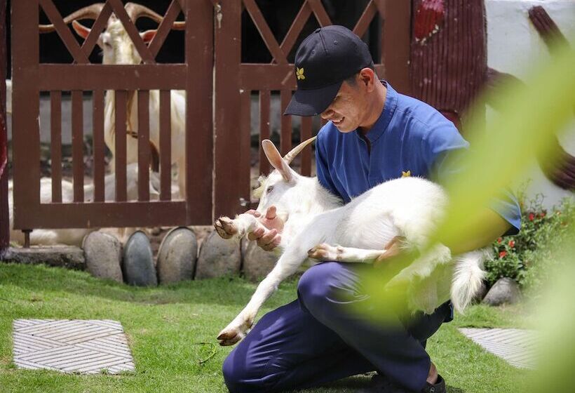 Premier Village Phu Quoc Resort Managed By Accor