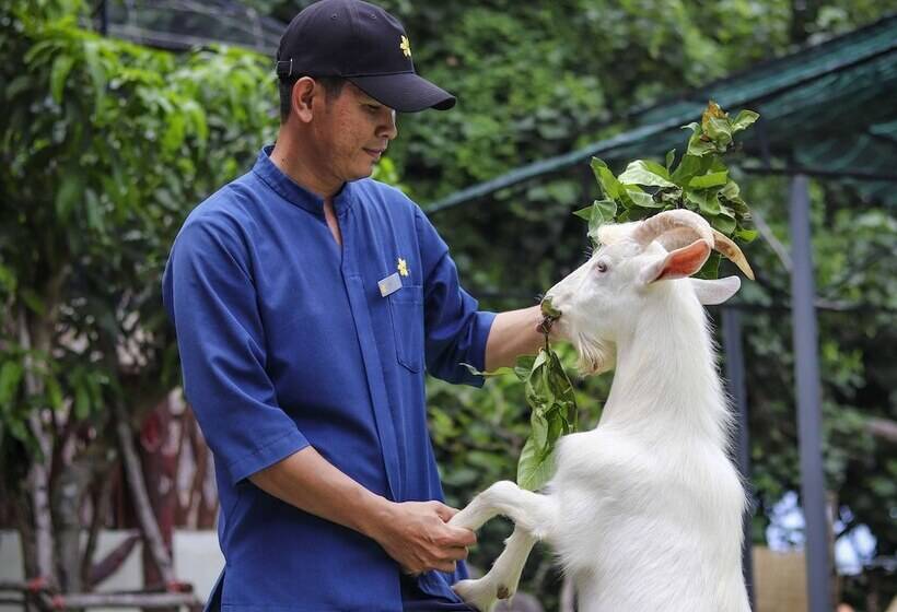 Premier Village Phu Quoc Resort Managed By Accor