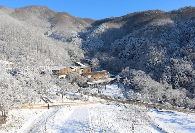 渡假胜地  Healience Village