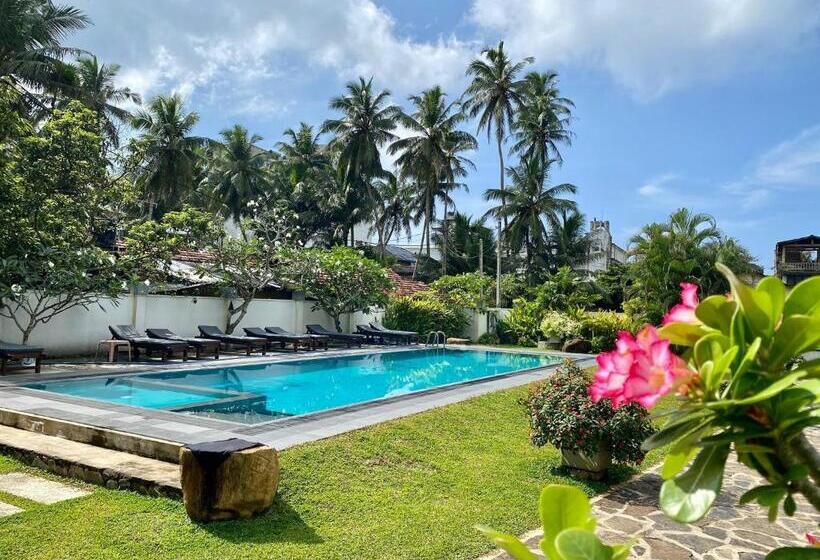 Курорт Villa Kaya Guest House