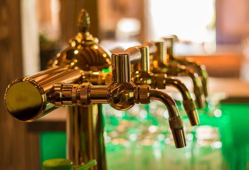 渡假胜地  Wellness Penzion Medličky