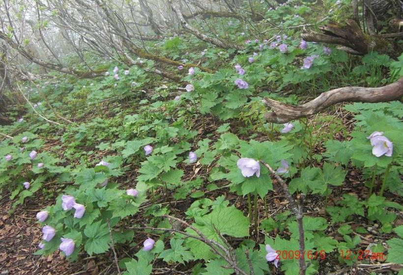 ריוקאן Karurusu Onsen Yumoto Orofuresou