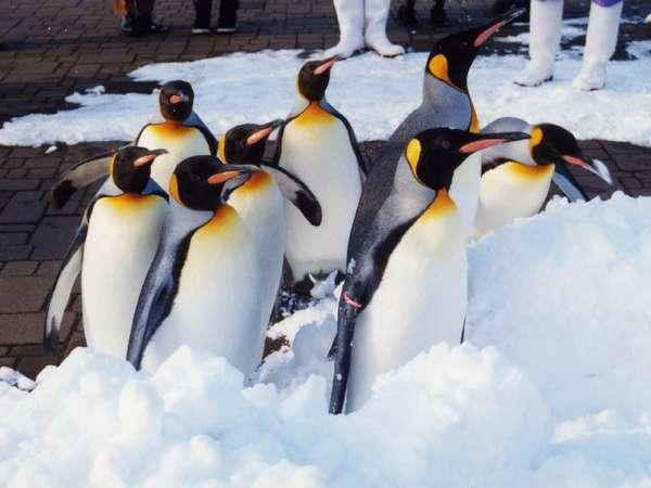 ריוקאן Karurusu Onsen Yumoto Orofuresou