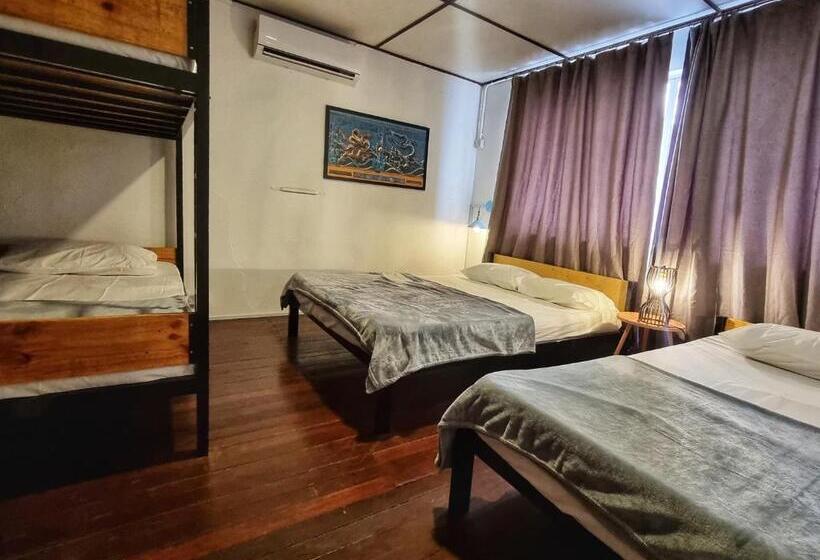 Bed and Breakfast Treehouse Hostel