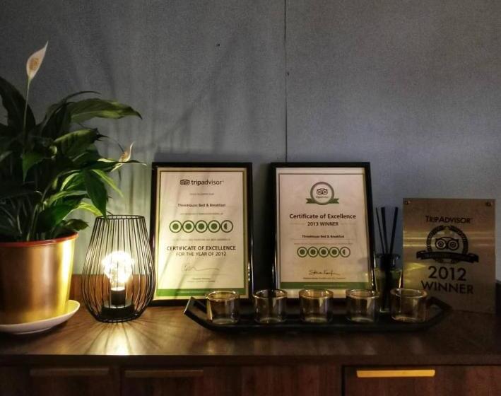 Bed and Breakfast Treehouse Hostel