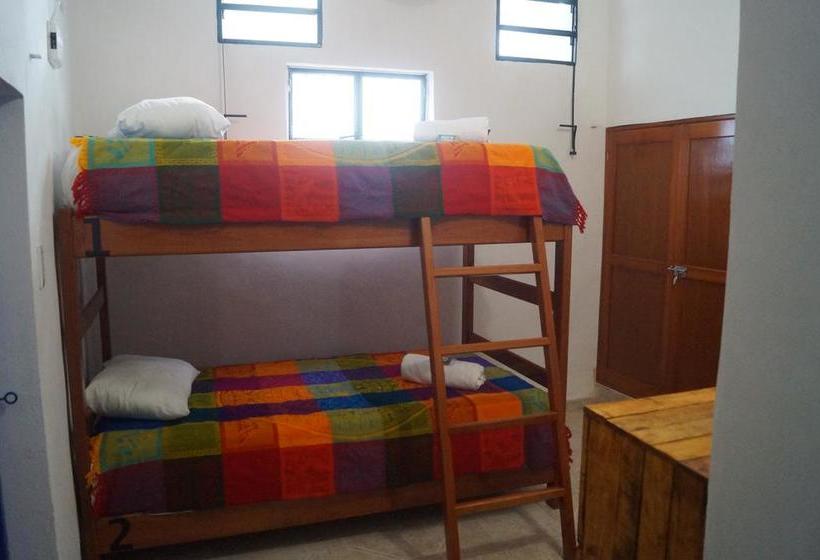 호스텔 Hostal Las Cruces