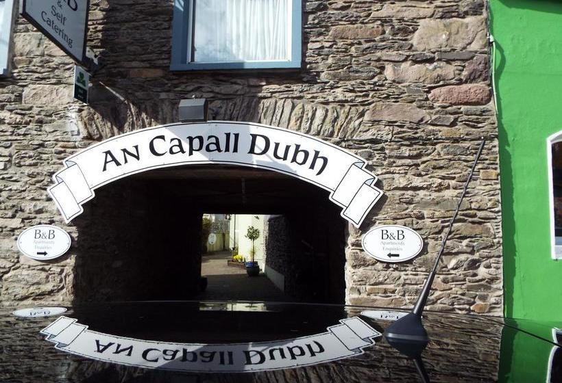 An Capall Dubh B&b Dingle