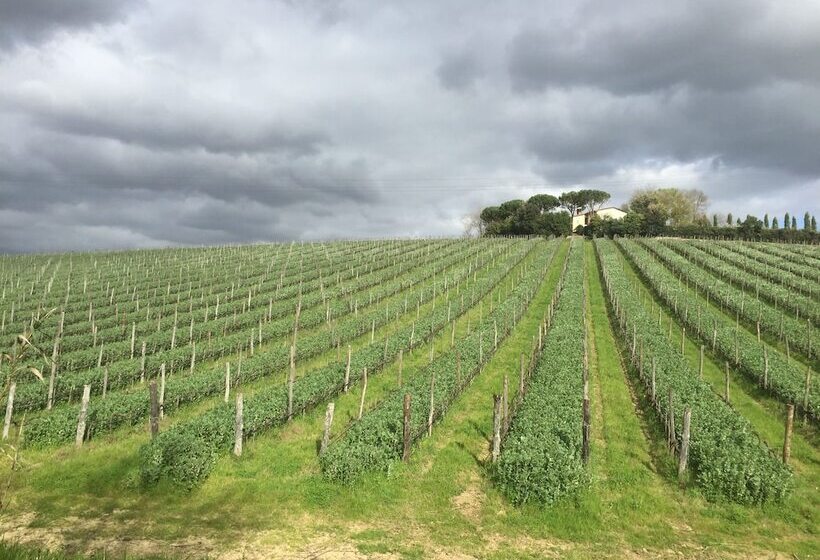 住宿加早餐  Agriturismo La Fattoria Di Capezzana