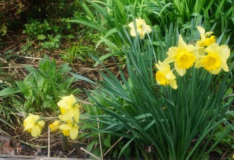 민박 Avonview Manor