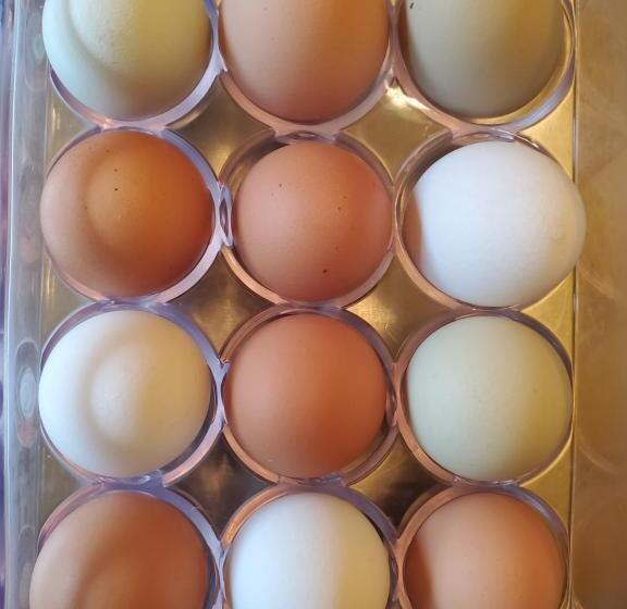 민박 Avonview Manor