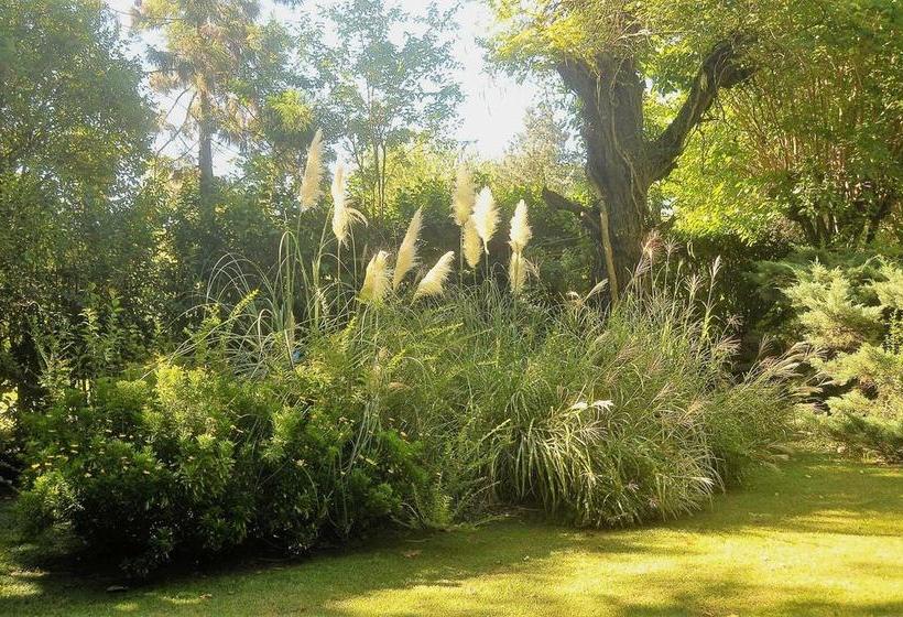 ベッドアンドブレックファースト Casa De Huã©spedes El Trebol