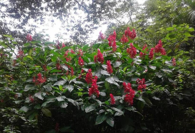 צימר El Nido Rojo