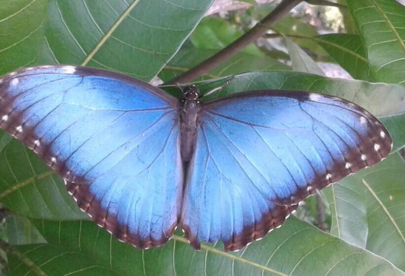 צימר El Nido Rojo